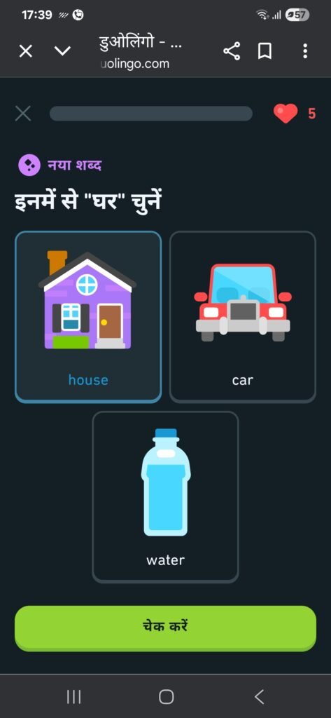 Duolingo App Interface